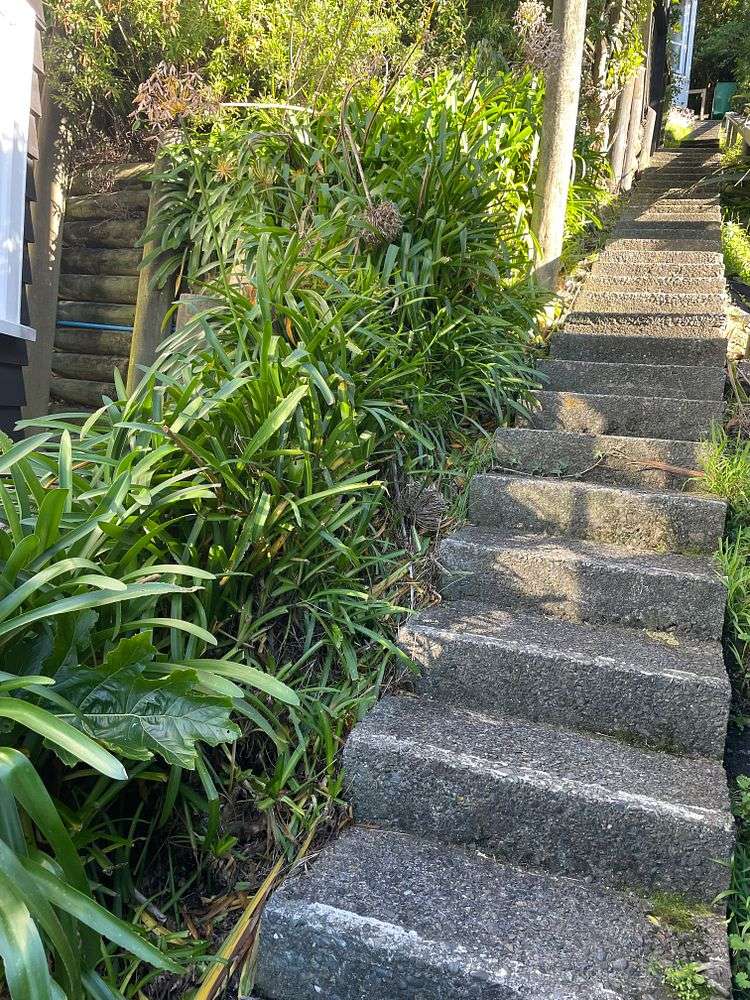 79 Barnard Street Wadestown_18