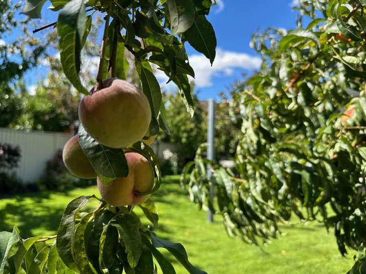 9 Sunhaven Cove Cromwell_10