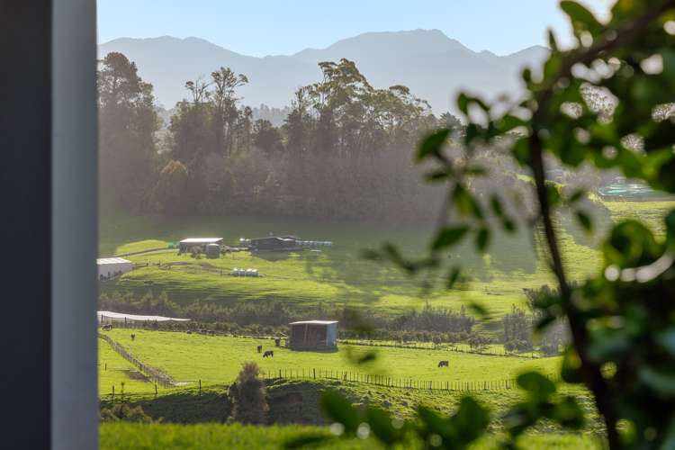 230d Waipapa Block Road Whakamarama_18