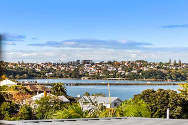 22 Brighton Road Parnell_2