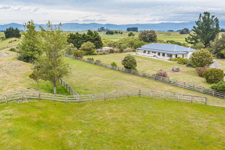 334 Motuiti Road Foxton_24