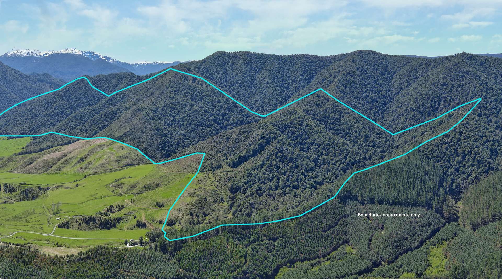 Owen Valley East Road Tasman_0