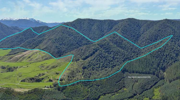 Owen Valley East Road Tasman_0