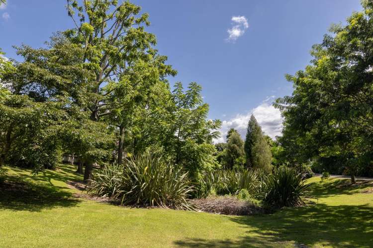 70 Hollister Lane Ohauiti_22
