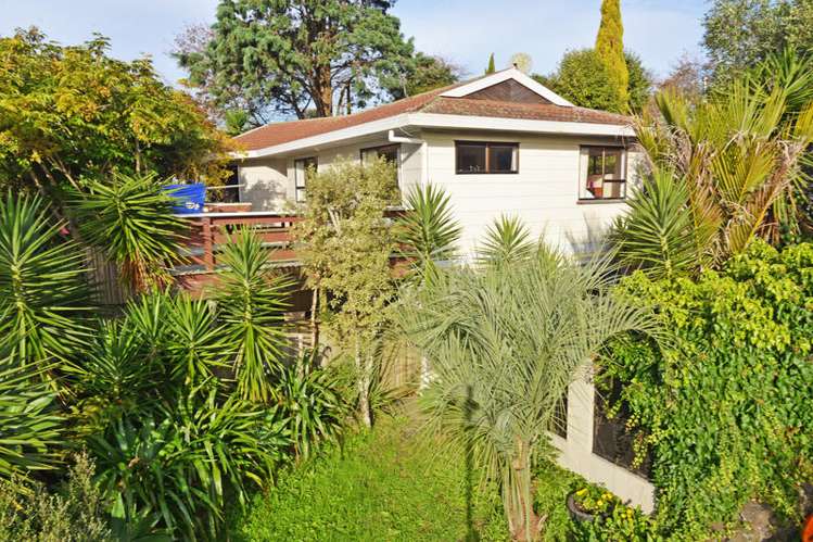 71 Woodglen Road Glen Eden_0