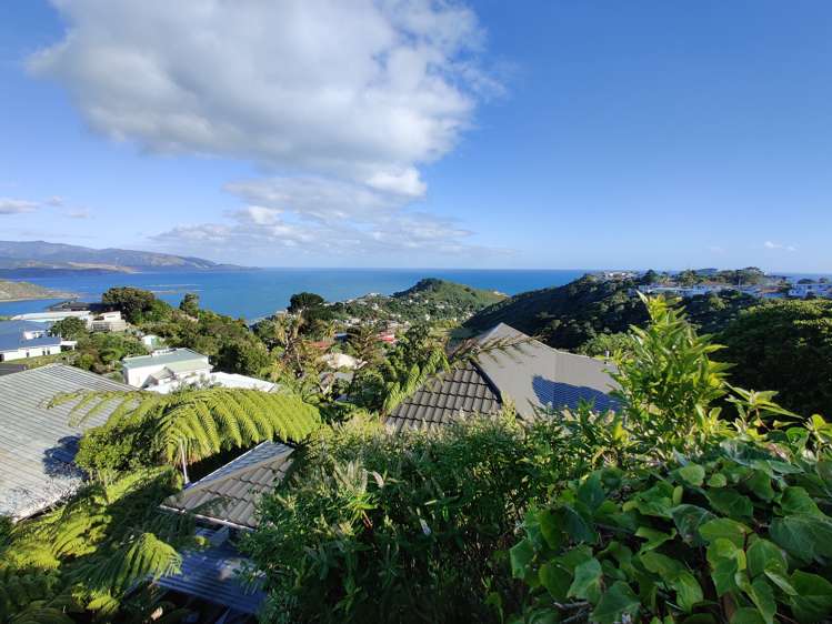 25a Houghton Bay Road Houghton Bay_12