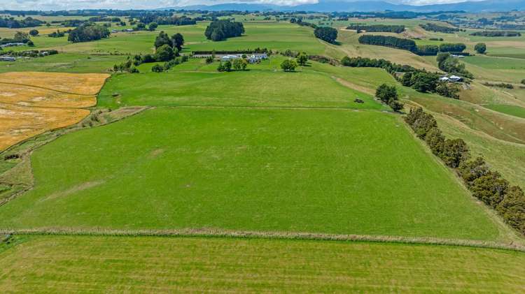 2054 Kimbolton Road Kiwitea_5