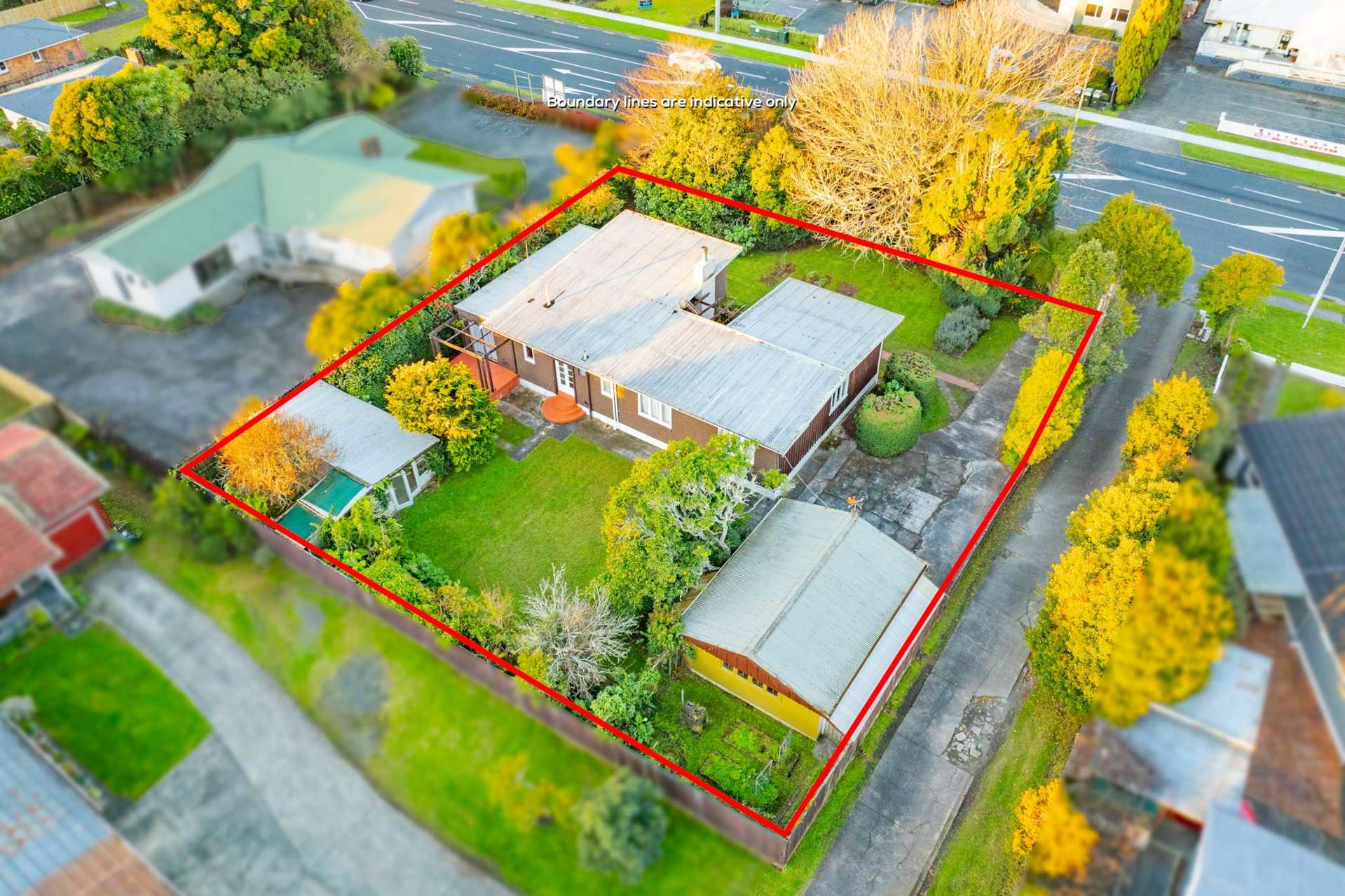 36 Lincoln Road Henderson_0
