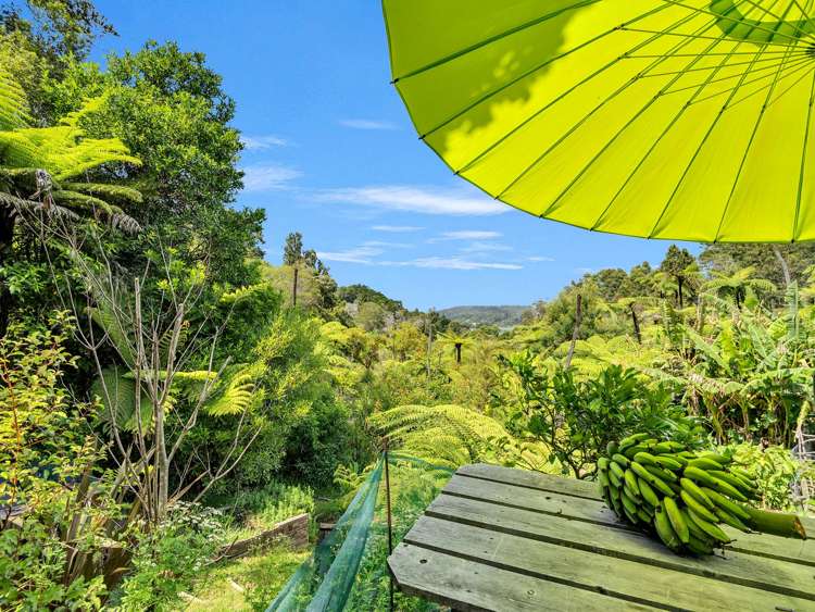 Ohiwa Loop Road Waiotahi_20