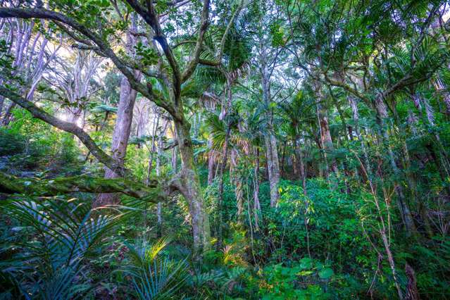 345 Taraunui Road Parua Bay_3