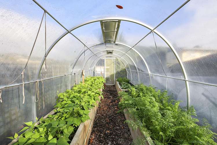 167 Govett Avenue Frankleigh Park_17