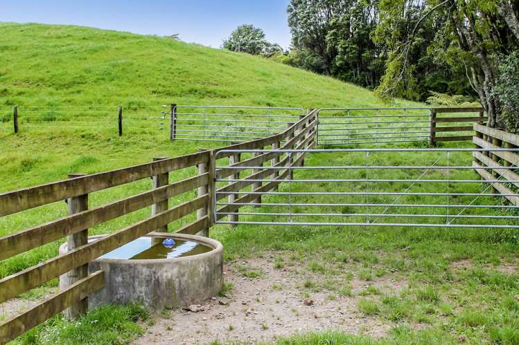 Upland Road Egmont Village_6