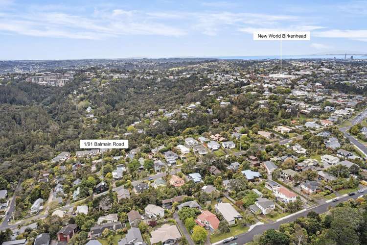 1/91 Balmain Road Birkenhead_18