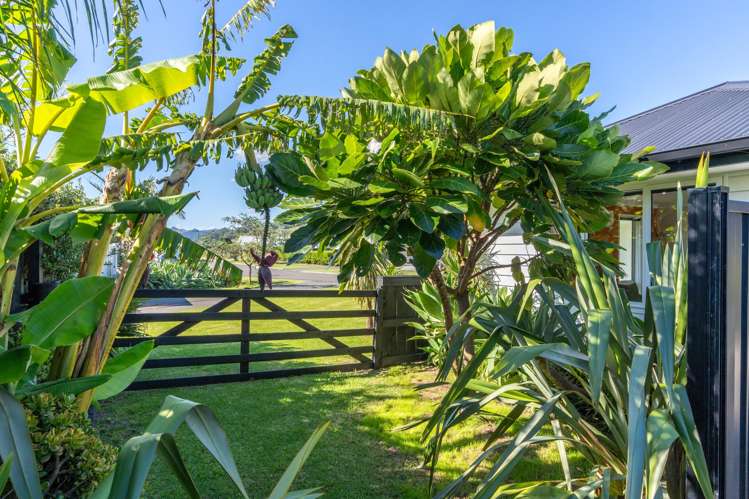 72 Hamilton Drive Wainui_21