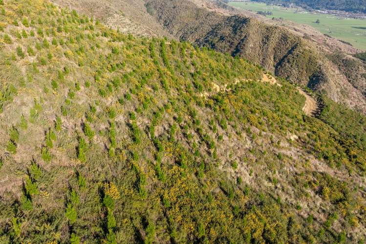 Matakitaki Road Murchison_14