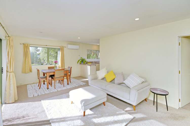 15a Terrace Road Leithfield_8