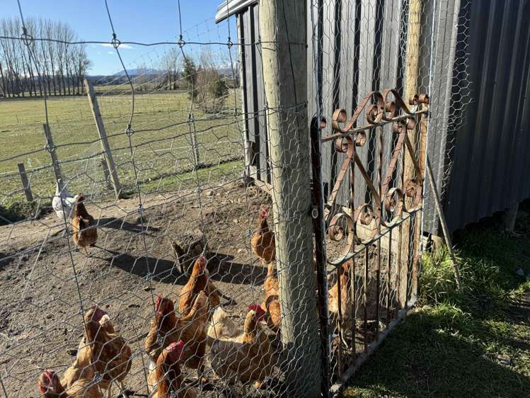 745 Ardgour Road Tarras_7