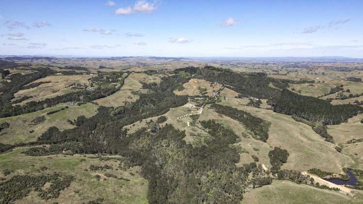 240b Esk Road Miranda_11