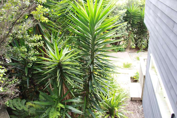 130g Gowing Drive Meadowbank_20