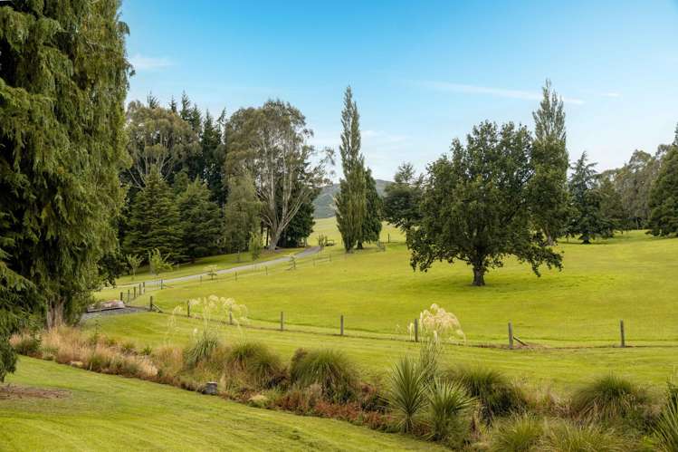 84 Cover Street Lumsden_6