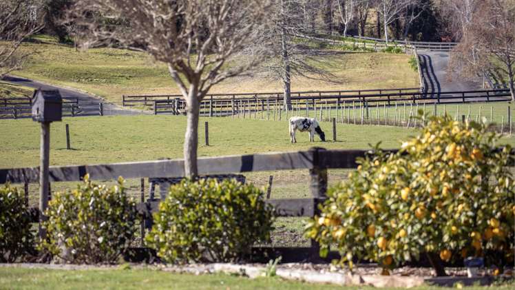 29c Pheasant Close Rotokauri_20