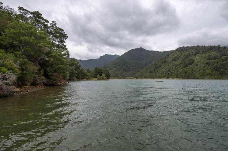 11 Matai Street Duncan Bay_32