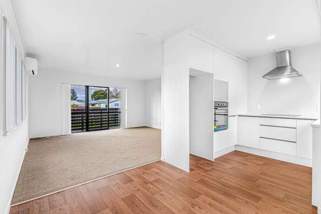 3A Volta Place Clendon Park_4