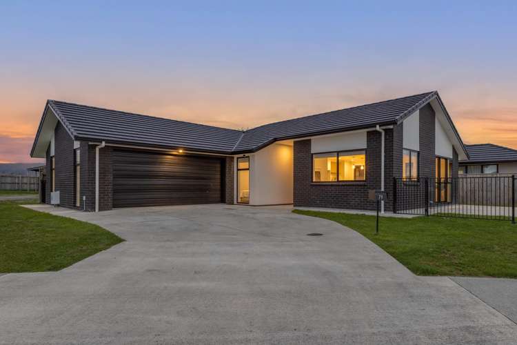 79 Hinemoa Street Levin_2