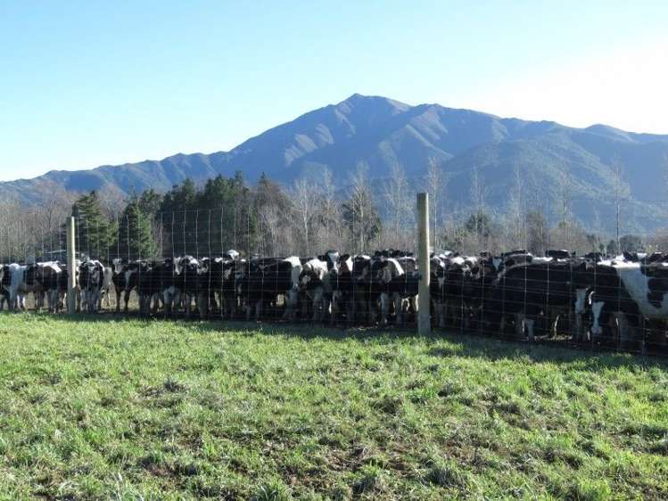 1248 Peel Forest Road Mesopotamia_14