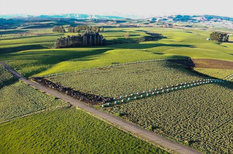 473 Clifden Gorge Road Eastern Bush_22