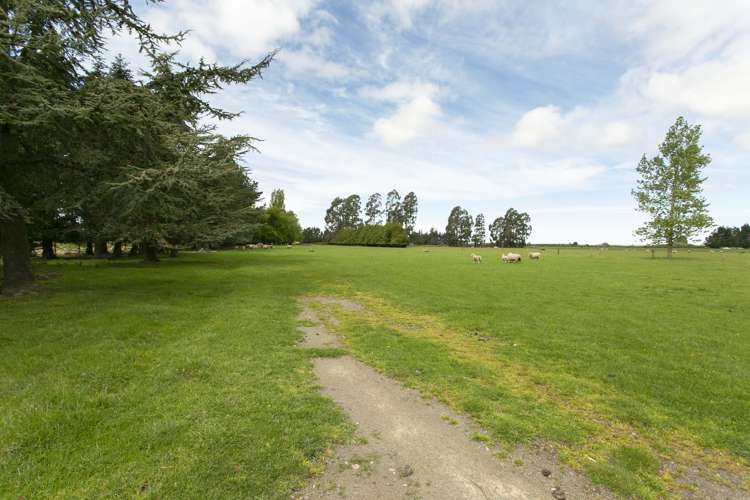 39 Hinds Highway Tinwald_22