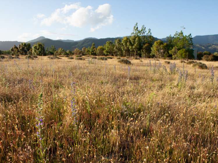 46 Edgewater Place Rarangi_5