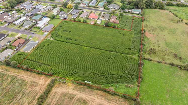 20 Coolen Place Tuakau_3