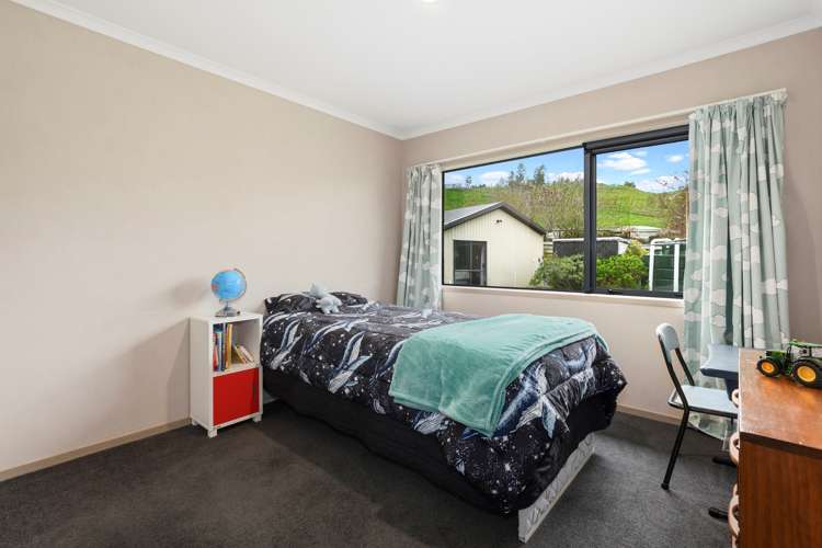 698d Whakamarama Road Whakamarama_11