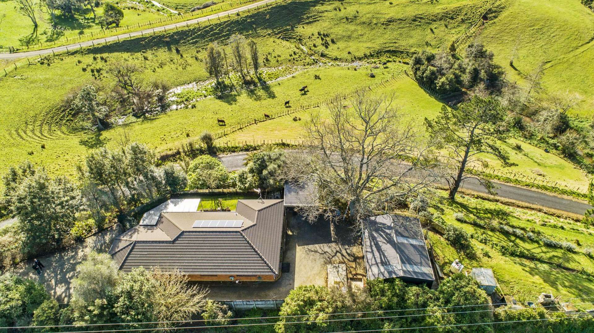 4 Morgan Road Pukekohe East_0