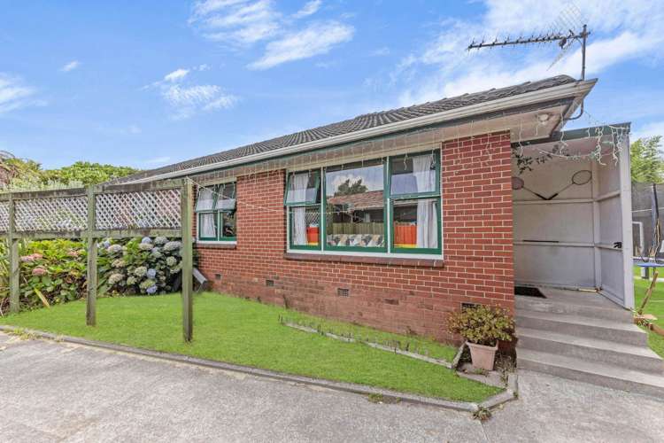 77 Birdwood Avenue Papatoetoe_12