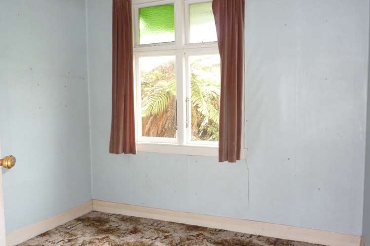 10 Greenfield Street Hector_9