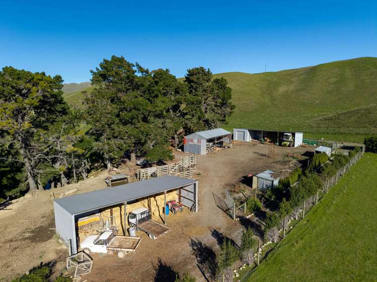 453 Tetley Brook Road Seddon_40