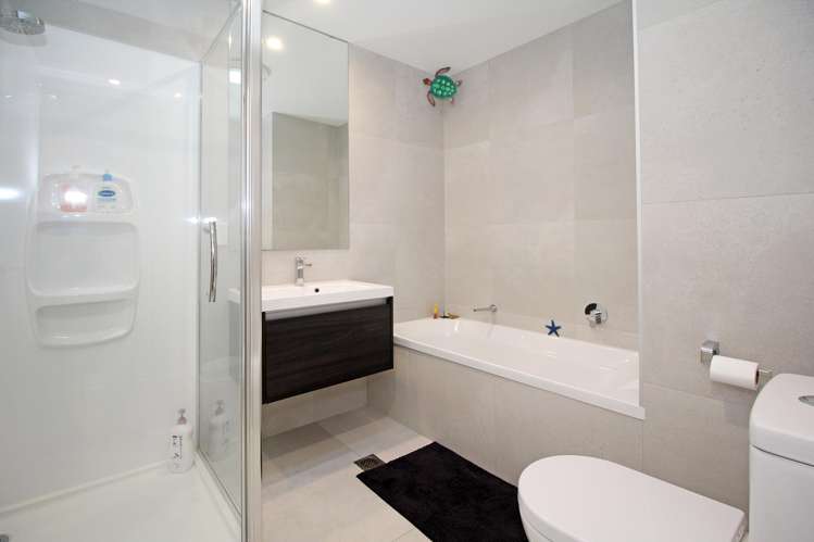 10 Paterae Lane Flat Bush_9