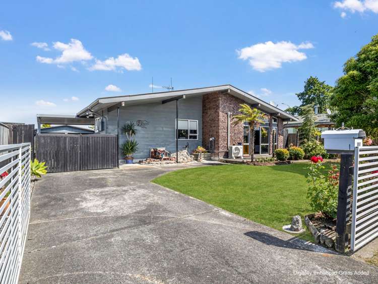 122 Tremaine Avenue Westbrook Palmerston North_1