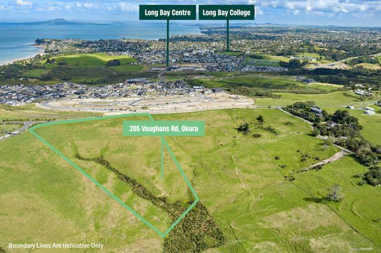 205 Vaughans Road Okura_10