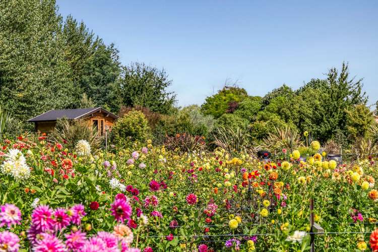 134 Aranui Road Mapua_27