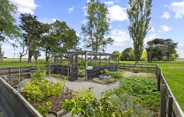 201 Makerua Road Tokomaru_8