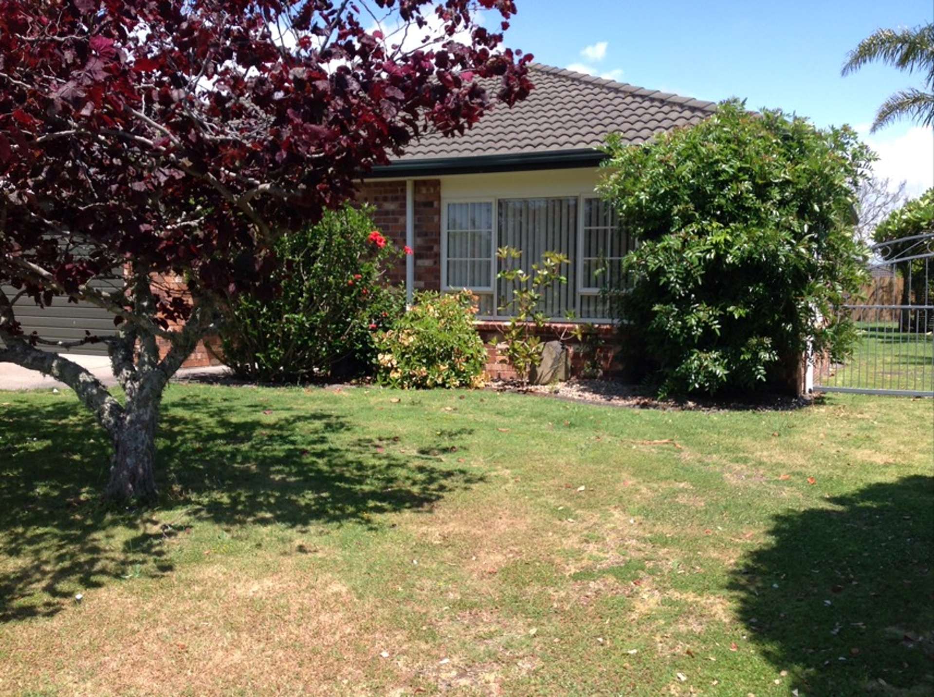 136 Evans Road Papamoa_0