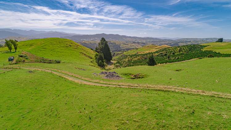 1094 Opaki Kaiparoro Road Rangitumau_8