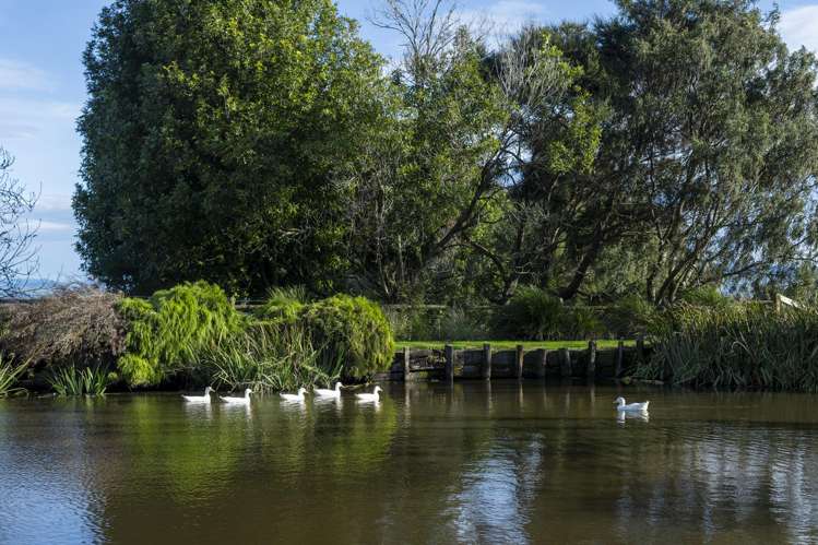 1105a Back Ormond Road Waihirere_6