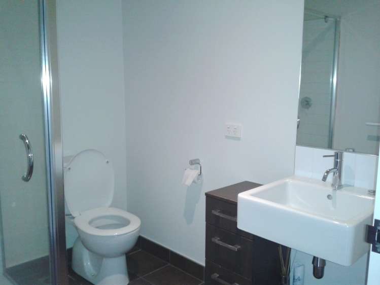 82b Michael Jones Drive Flat Bush_5