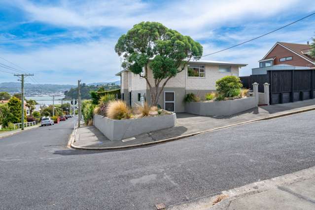 58 Sunbury Street Andersons Bay_1