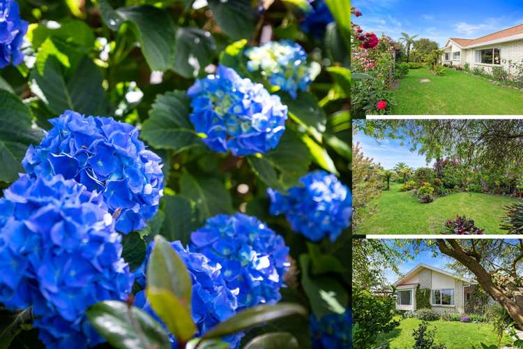 4 Liftan Place Mount Maunganui_17