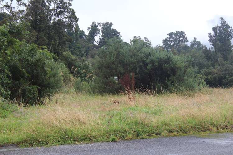 38 Donovan Drive Franz Josef Glacier_5